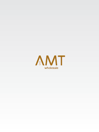 AMT Services S.R.L.